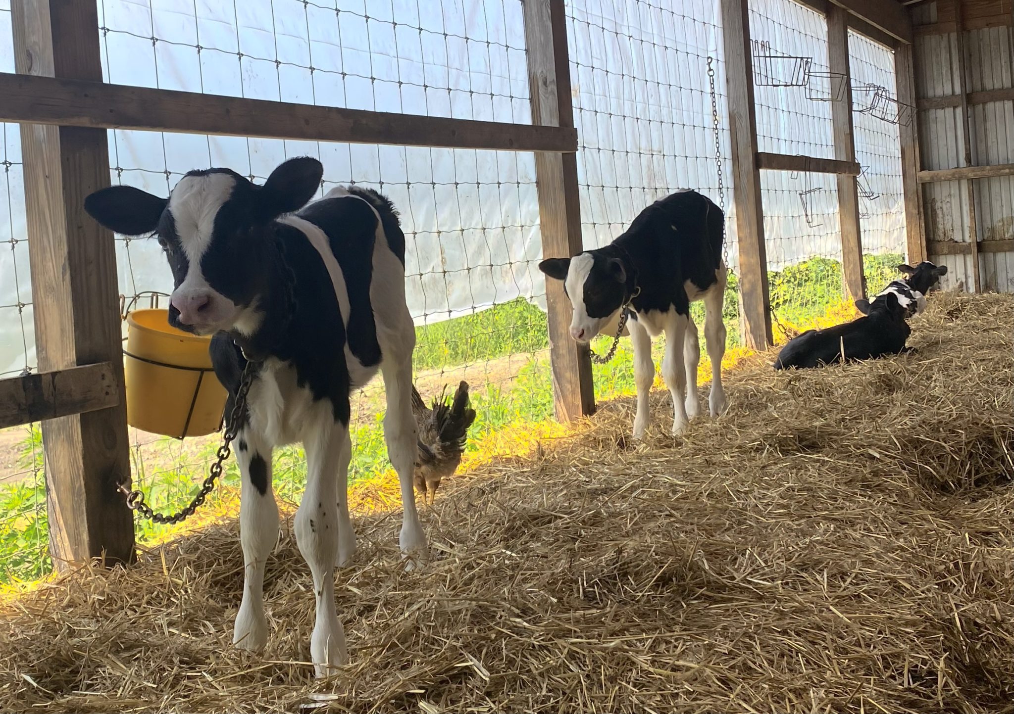 Open Houses for Farmers and Farmland Owners Mohawk Valley Today