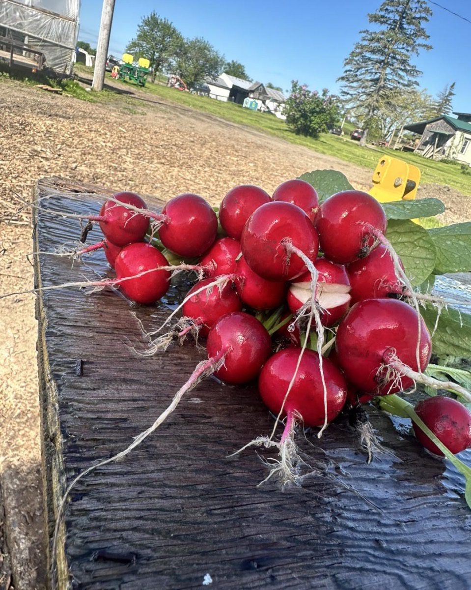 Featured Mohawk Valley Farm Shults Family Farm Mohawk Valley Today