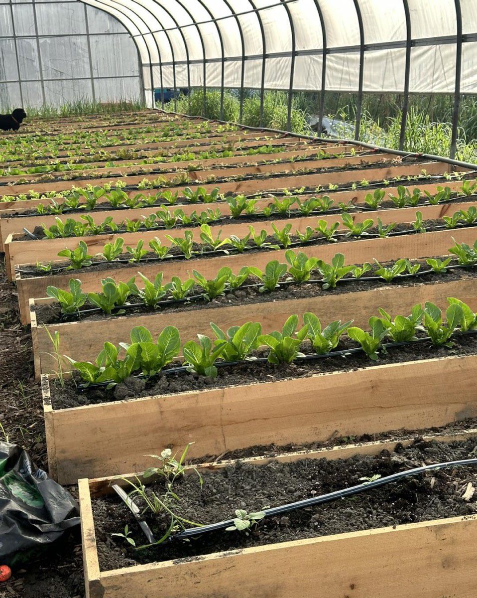 Featured Mohawk Valley Farm Shults Family Farm Mohawk Valley Today