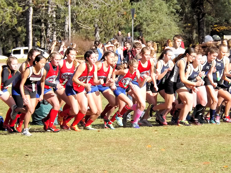 BroadalbinPerth cross country teams build toward future at sectionals