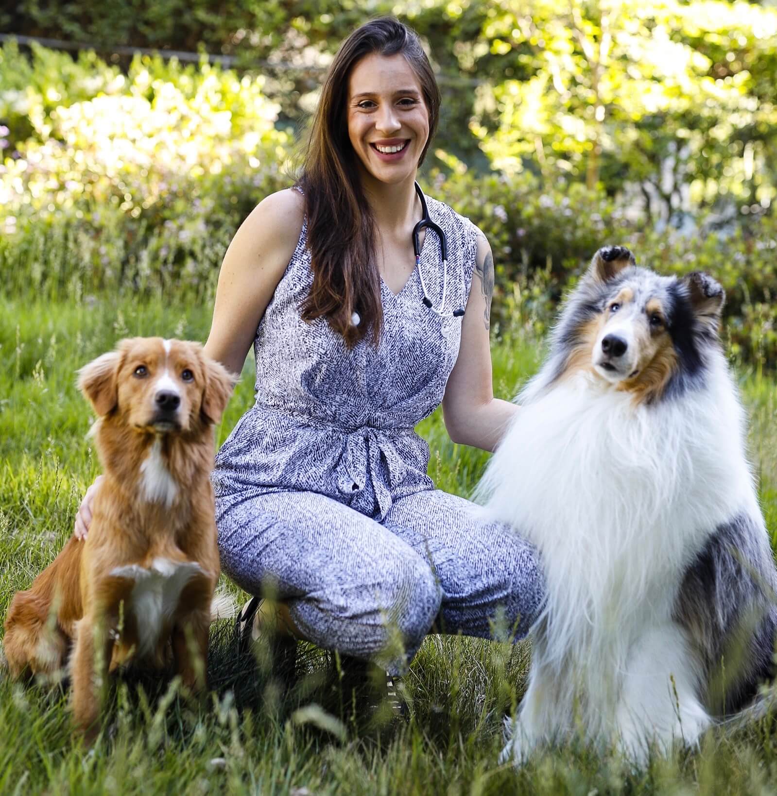 Meet the Team at Mohnacky Animal Hospital