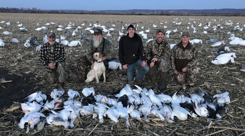 Spring Snow Goose Hunts Squaw Creek Hunt Club & Guide Service
