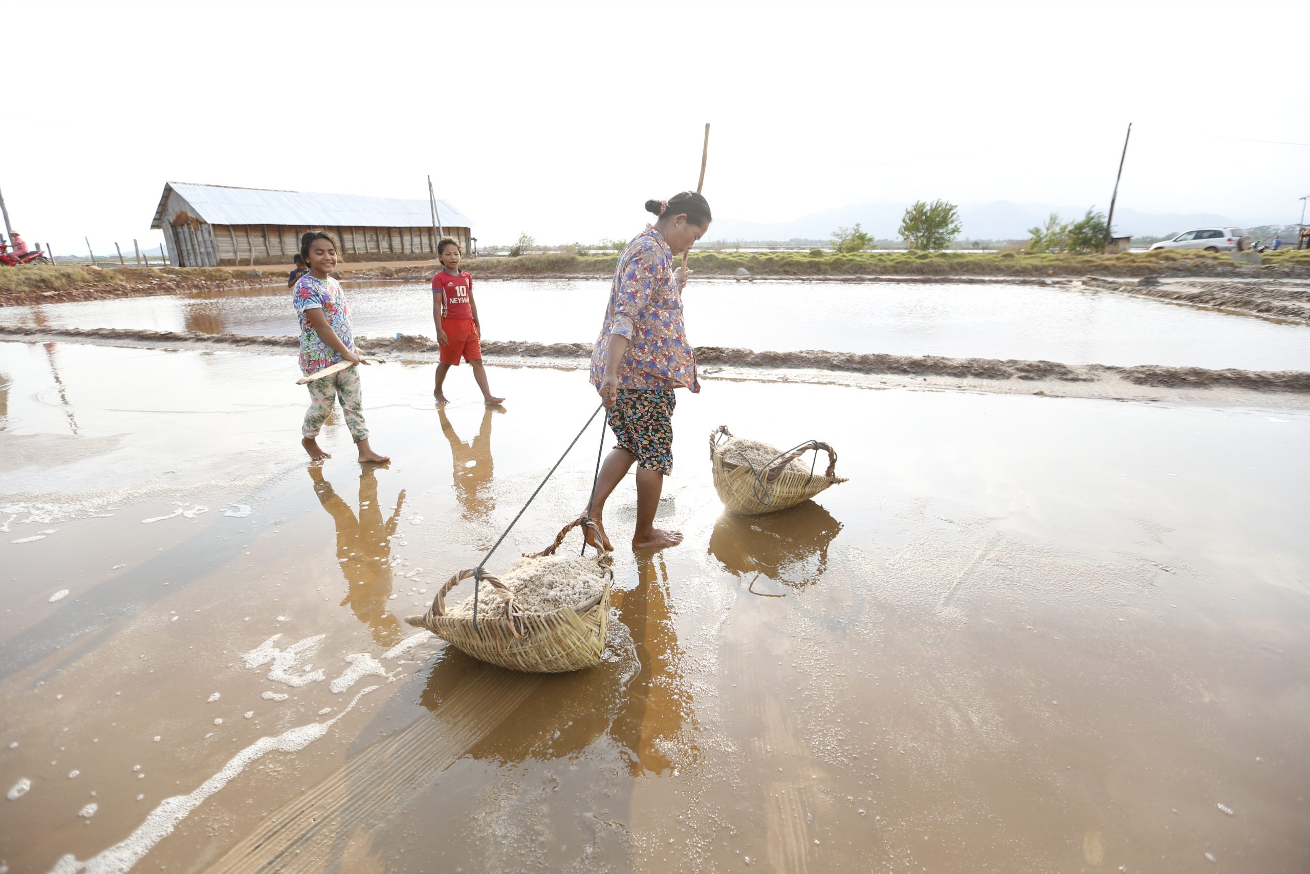 Sustainable Salt Production Boosted ក្រសួងព័ត៌មាន