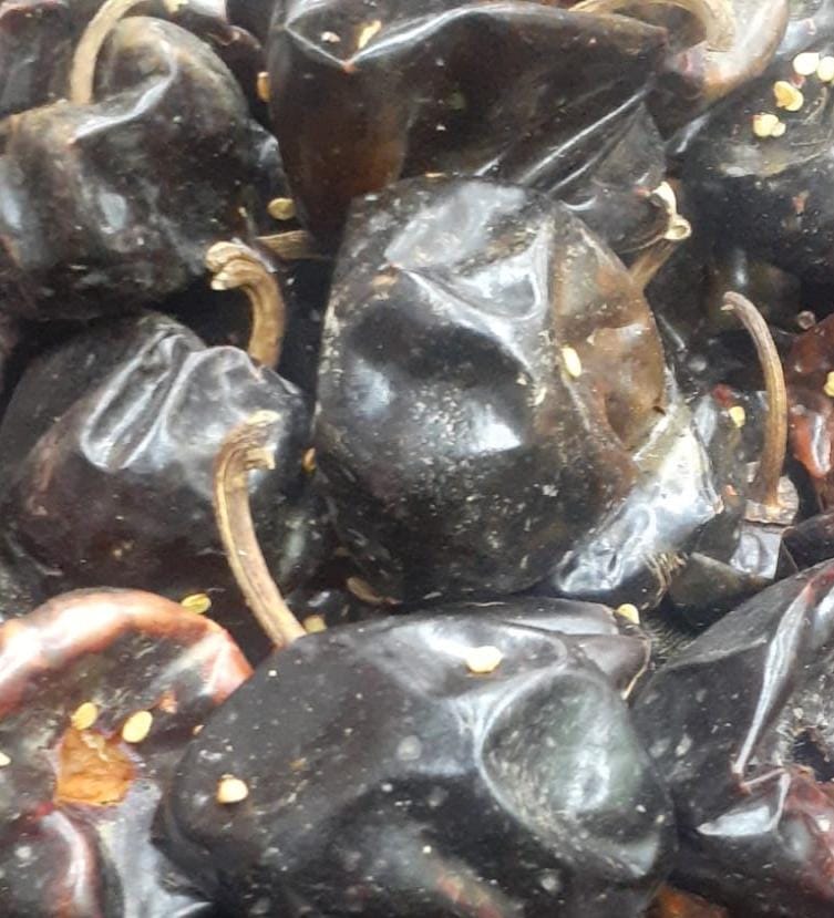 Chile cascabel 250 g Moisaner Tienda en Línea