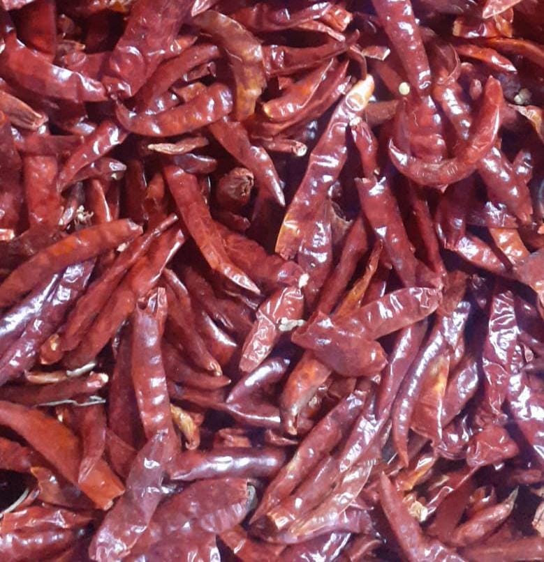 Chile de árbol sin pata 250 g Moisaner Tienda en Línea