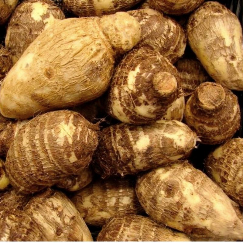 Malanga por kilo Moisaner Gourmet Tienda en Línea