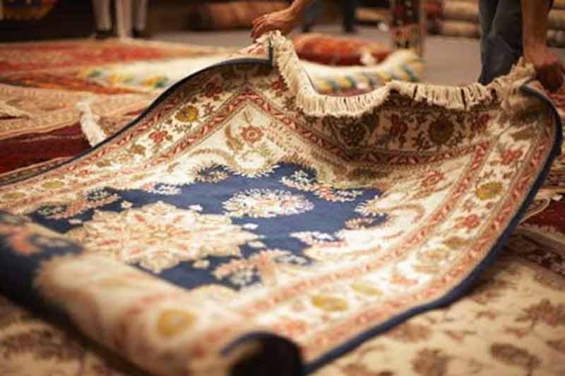 Professional Rug Cleaning Services Moisture Control Services