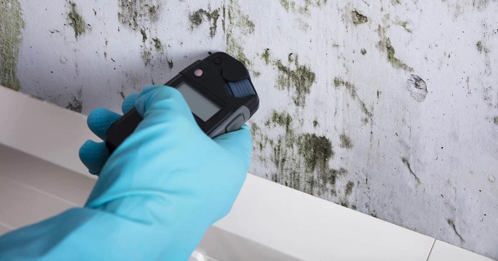 Mastering Mold Testing Your Comprehensive Guide to Testing for Mold in