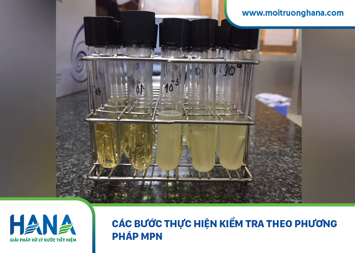 Phương Pháp MNP Và CFU Là Gì? CFU Và MPN Khác Nhau Như Thế Nào?