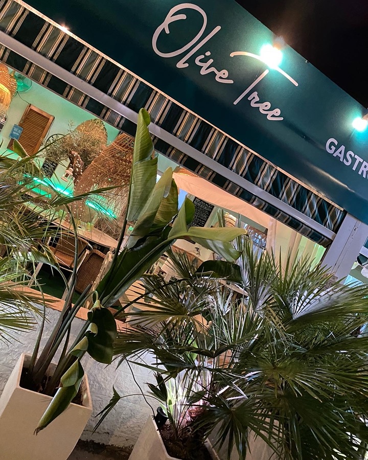 Olive Tree Restaurant Menus, Reviews & Photos Mojácar Life
