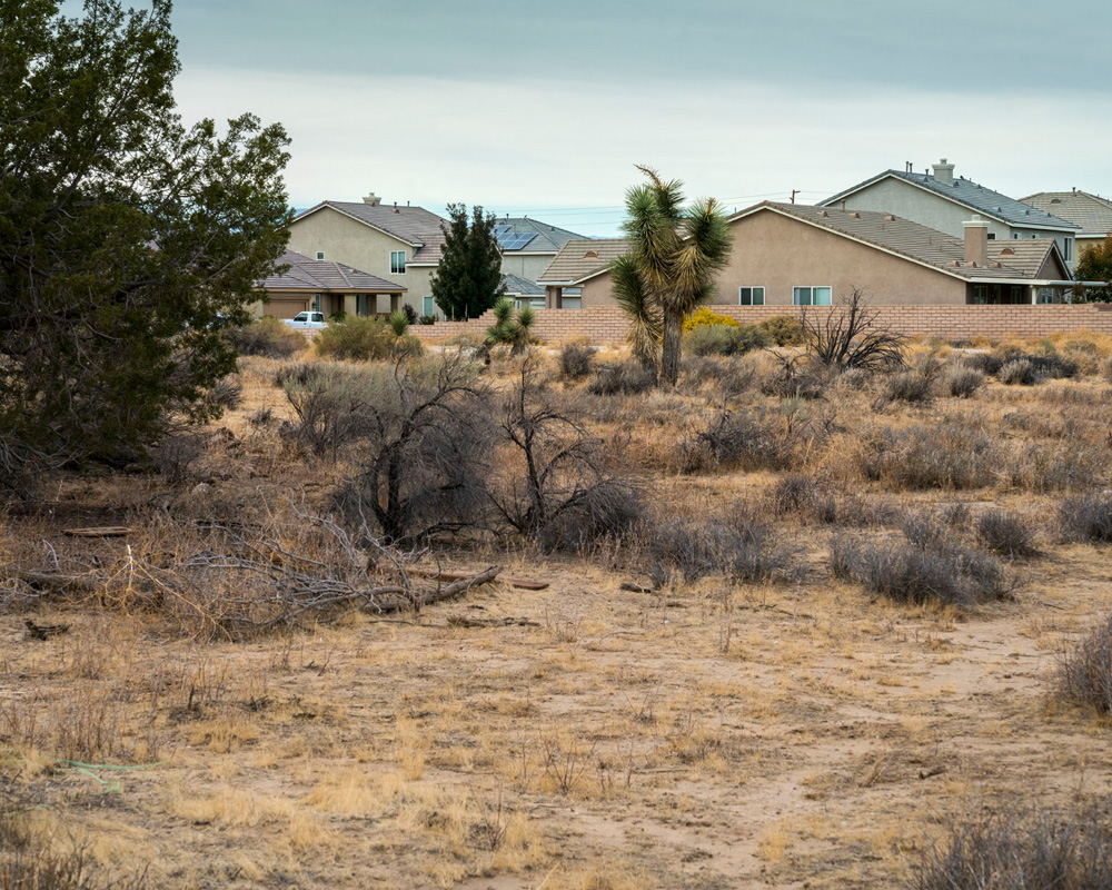 Shifting Dust Development and Demographics in Antelope Valley THE