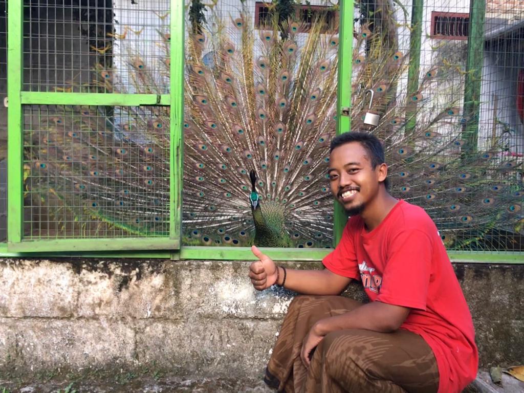 Tentang Anggit, Bagaimana Ia Beternak Burung dan Ayam