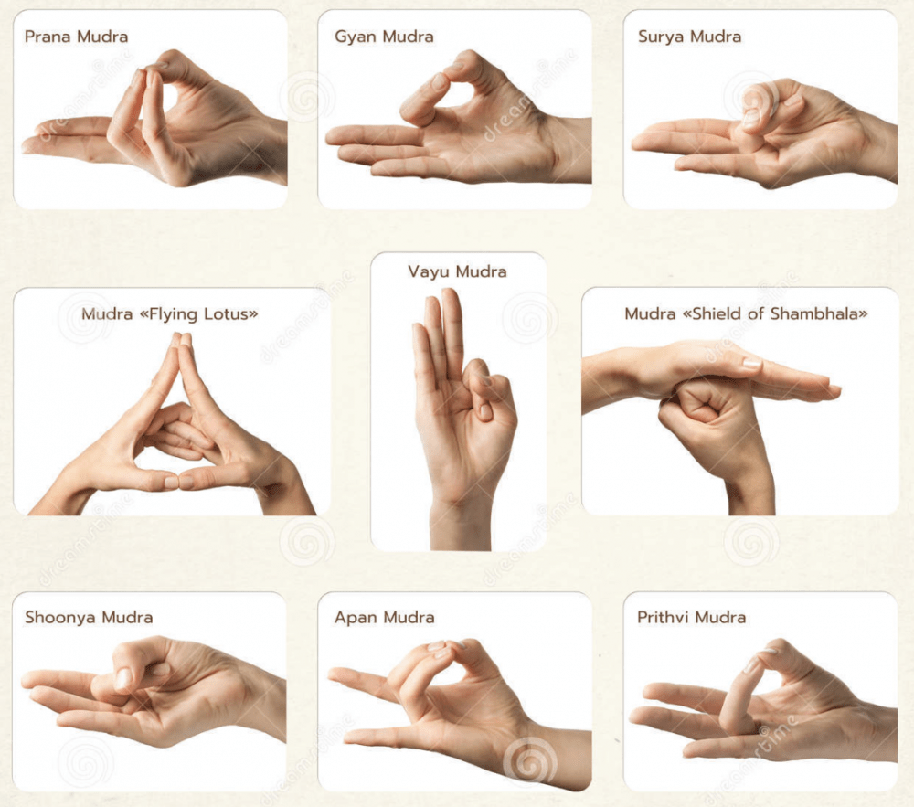 The meaning of Mudras Moka Yoga Venice