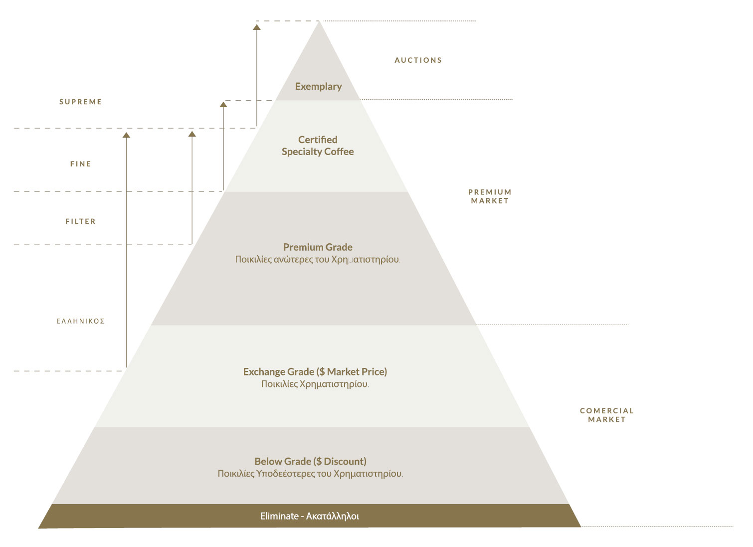 Coffee Quality Pyramid Mokka Specialty Coffee