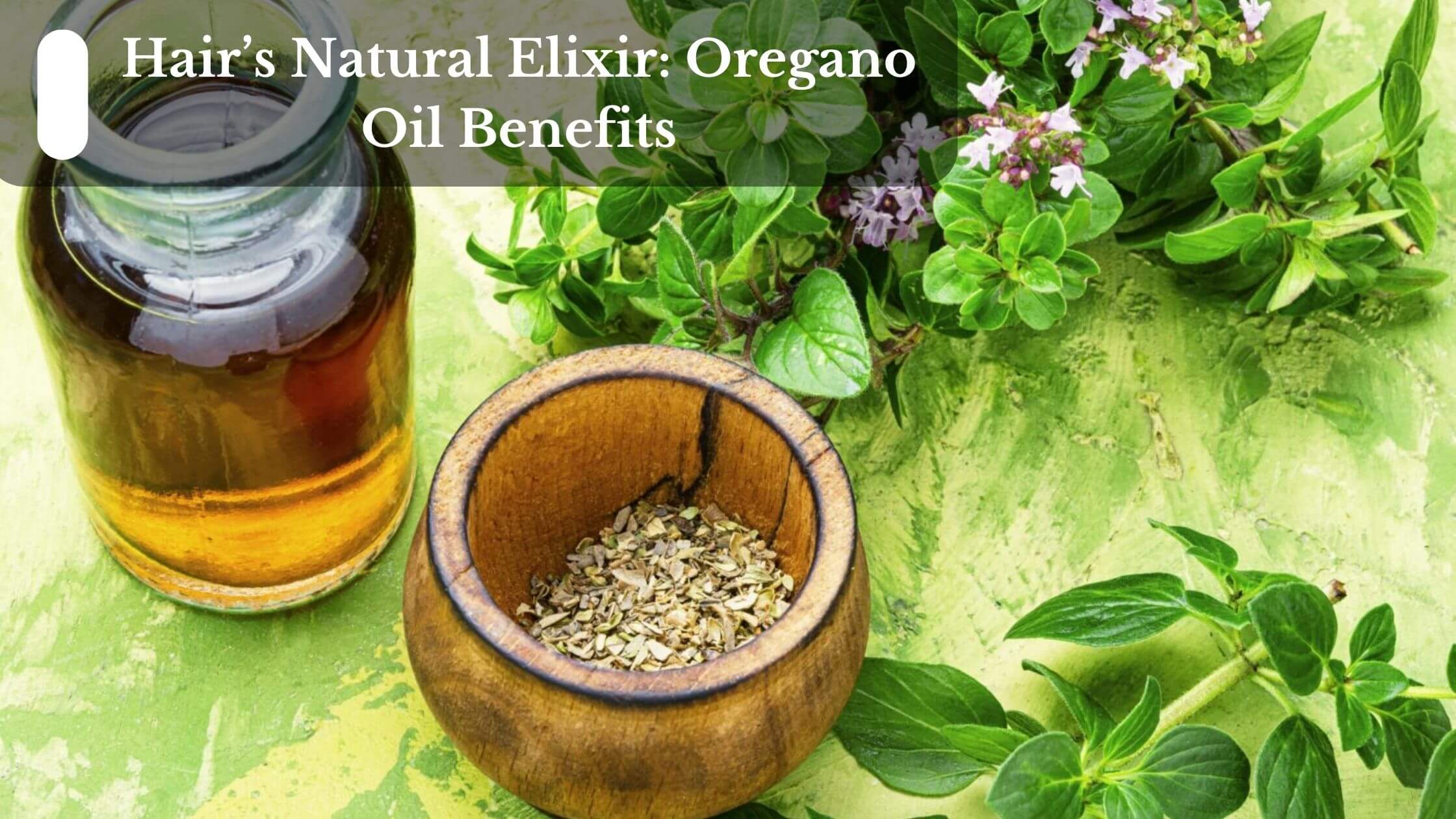 Hair's Natural Elixir Oregano Oil Benefits
