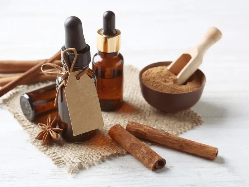 Cinnamon Oil For Toothache A Natural Remedy That Works
