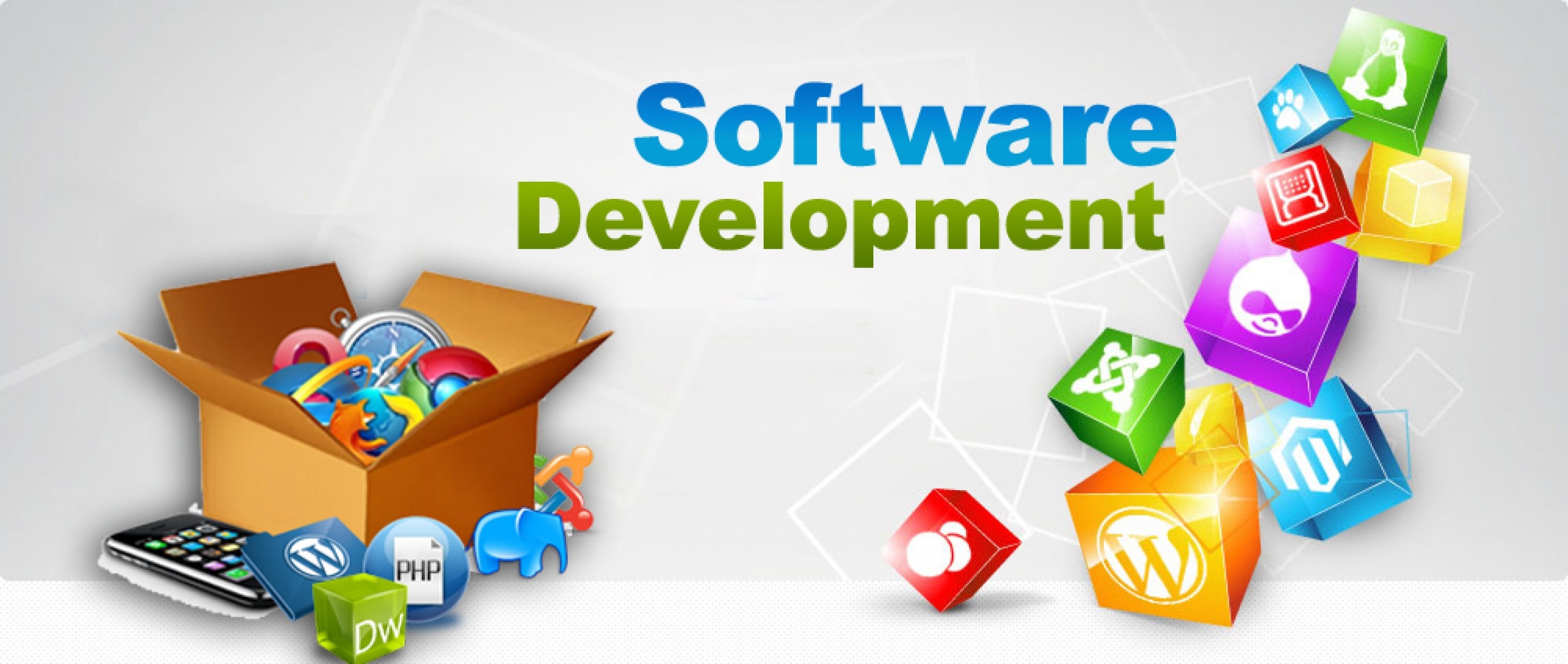 SOFTWARE DEVELOPMENT COMPANY Moksha Solutions