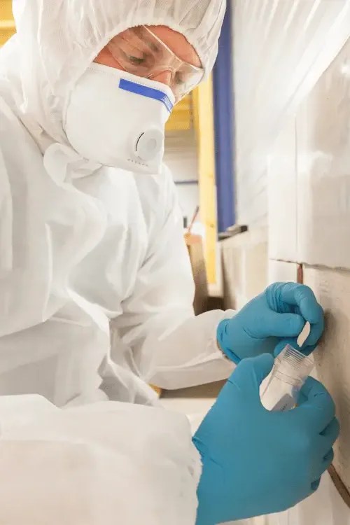 TopRated, Local Mold Inspection Pro Environmental Testing, LLC.