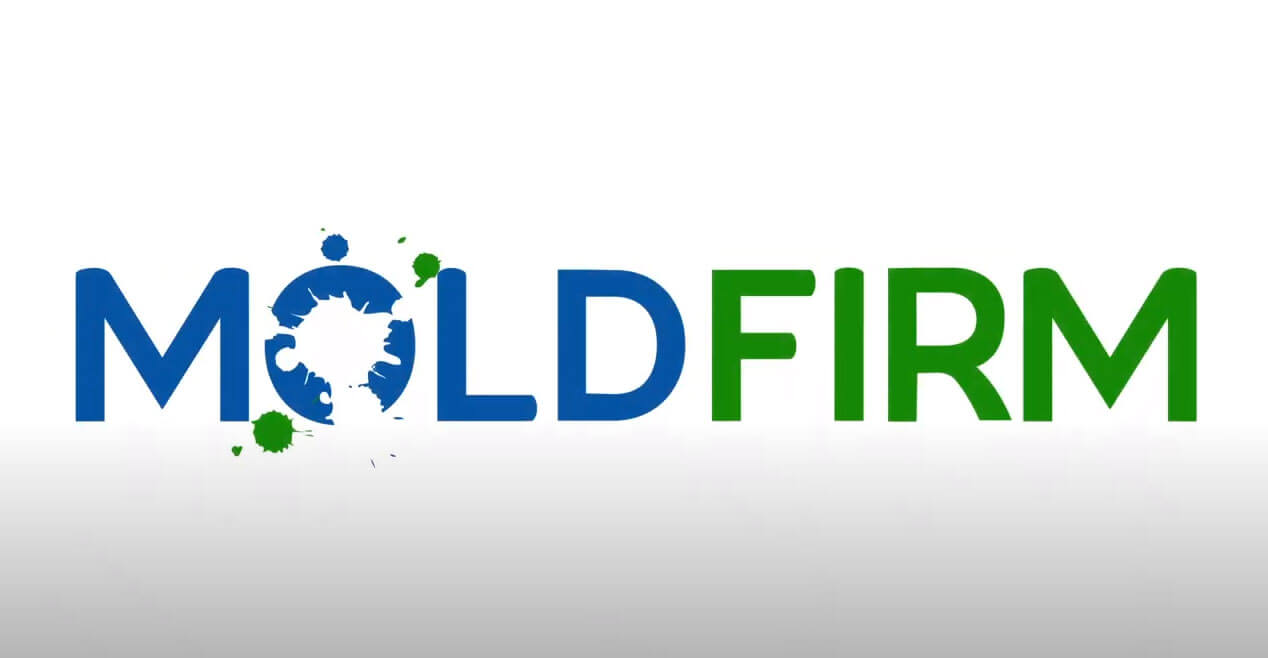 The Mold Firm Atlanta Toxic Mold Attorney Toxic Mold Lawyers