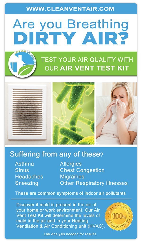 Does A Mold Air Test Really Work? Mold Help For You