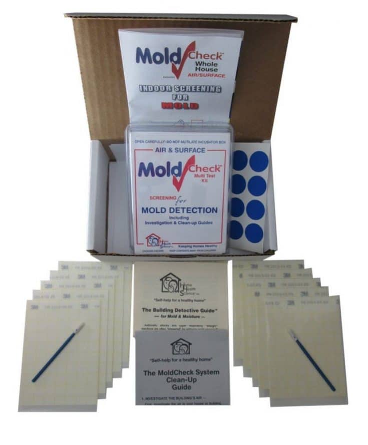 The 7 Best Mold Test Kits Mold Help For You
