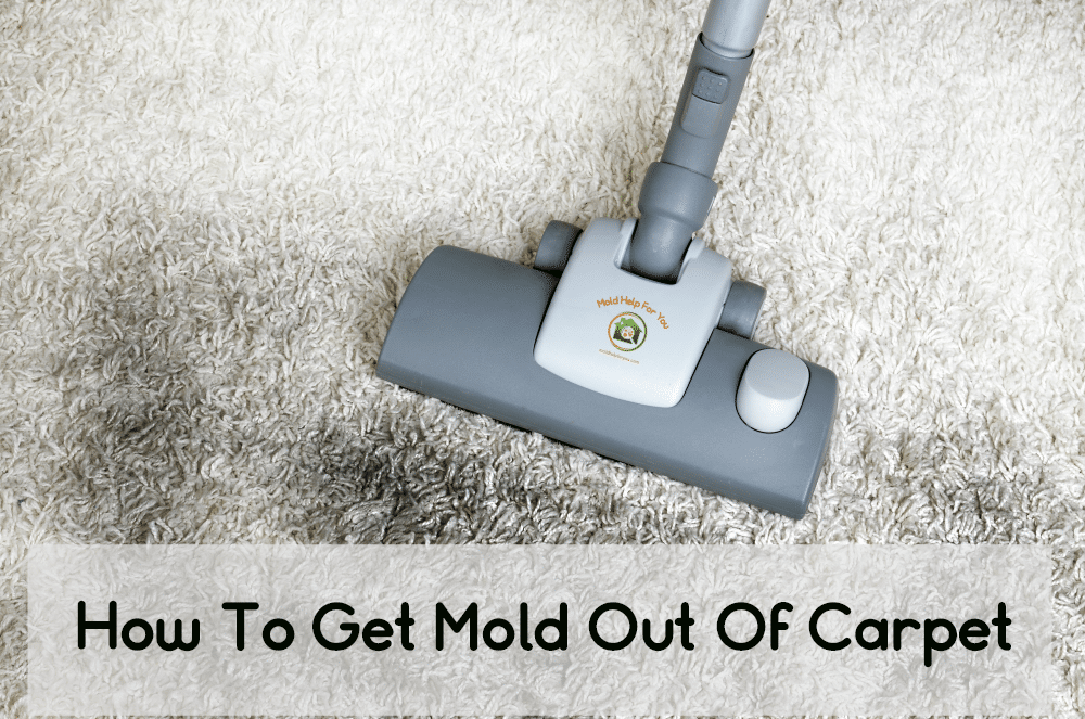 How To Clean Mold From Outdoor Carpet