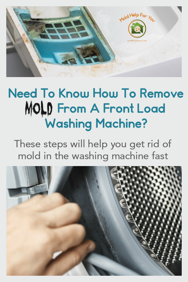 Front Loader Washing Machines Mold / How To Clean Front Loader Washing