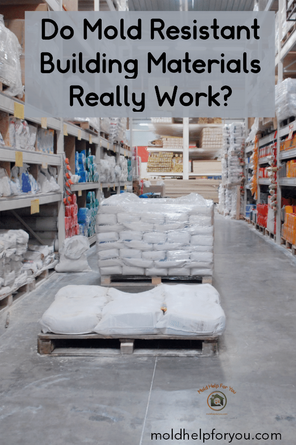 The Best Mold Resistant Building Materials To Mold Proof A Home Mold Help For You