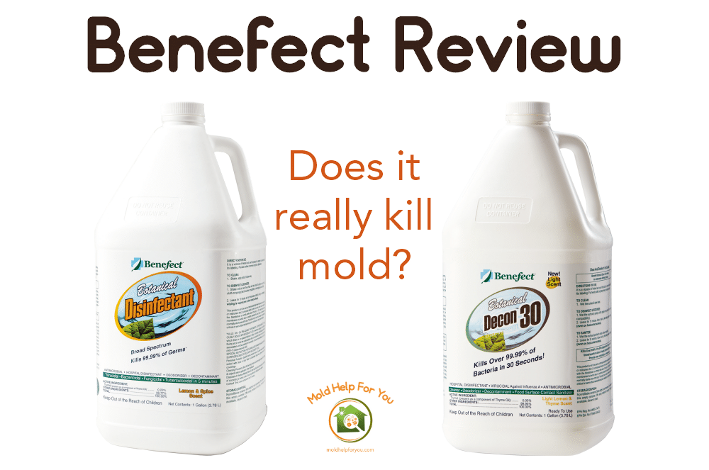 Benefect Review Mold Help For You