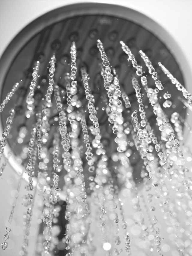 HOW TO TEST FOR MOLD IN WATER Mold Help For You