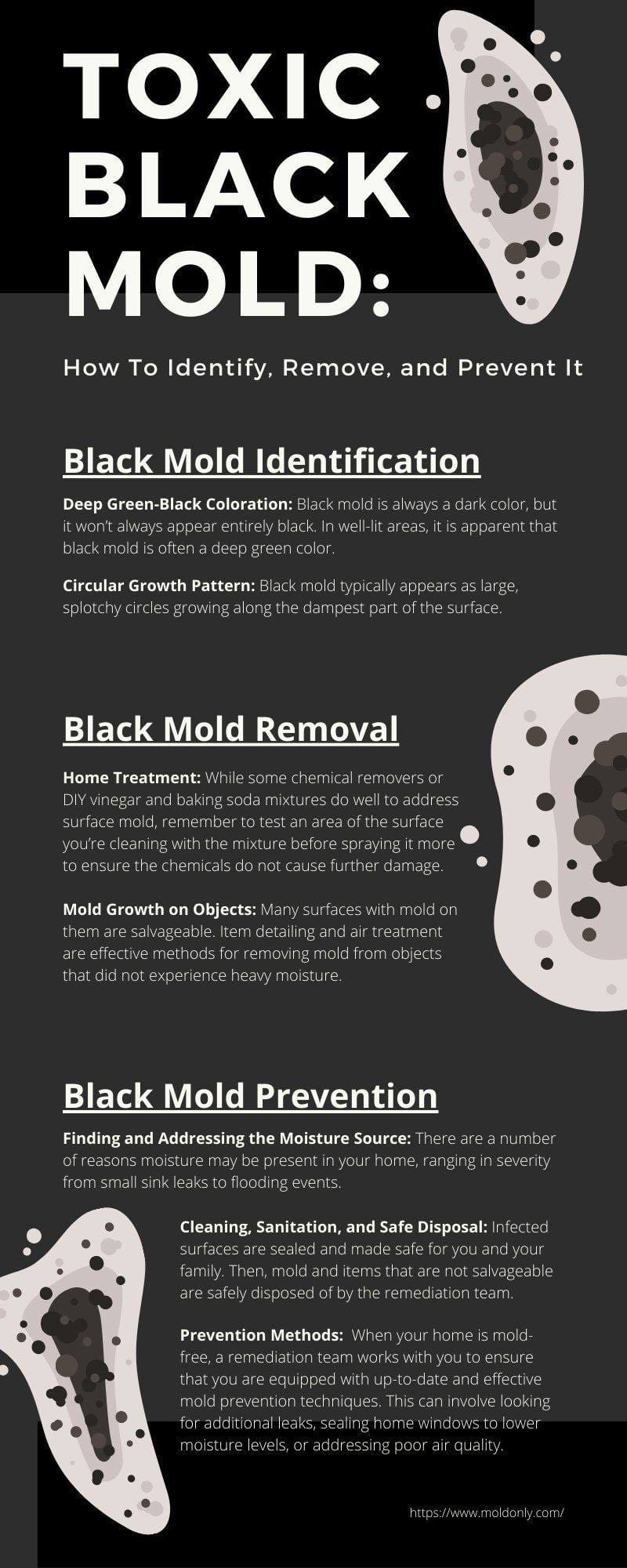 How to Identify, Remove & Prevent Black Mold
