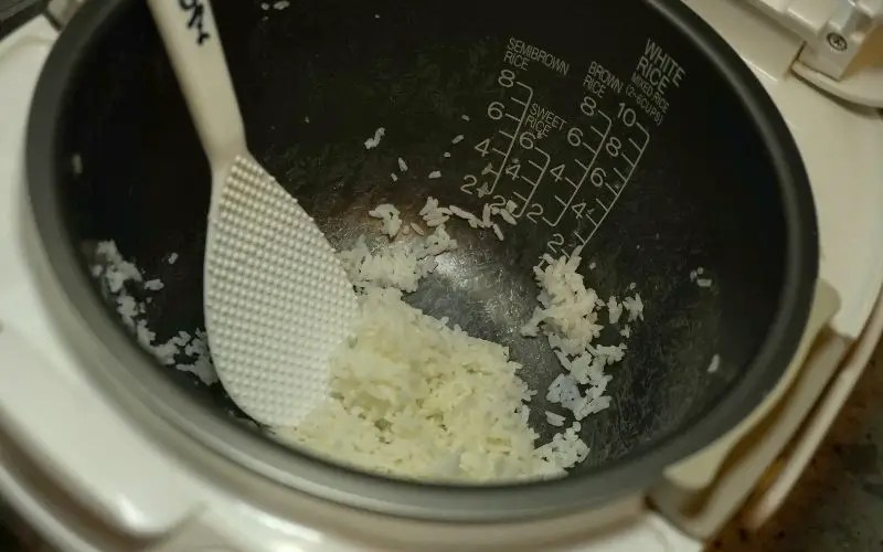 How To Clean Rice Cooker With Mold
