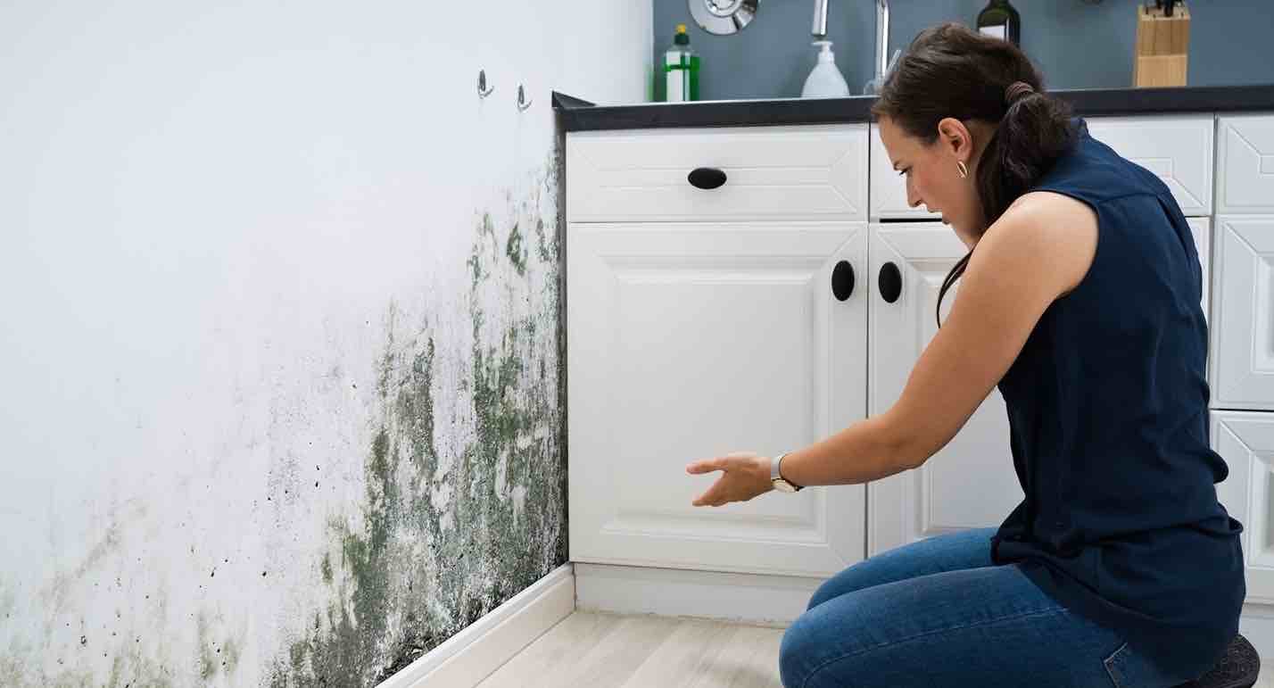 Can I Stay in My House With Black Mold? (2022) Mold Remediation