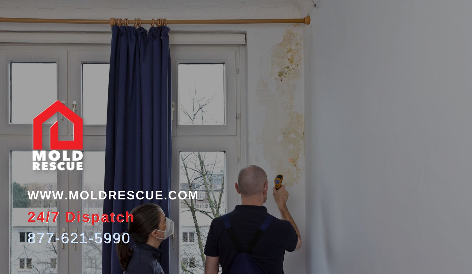 What Temperature And Humidity Does Mold Grow?