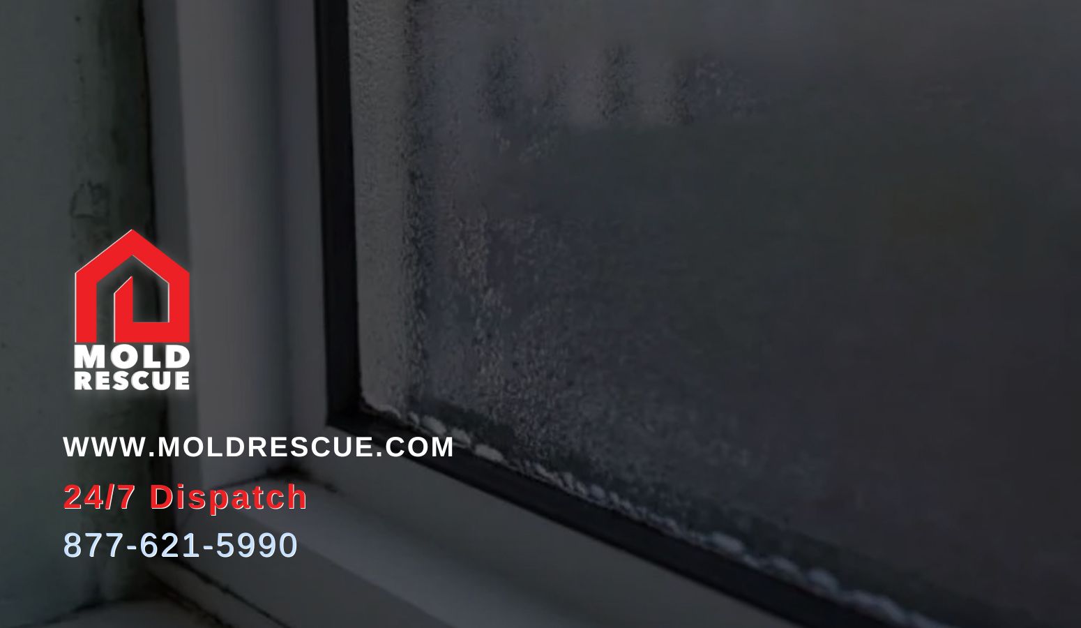 Mold On Windows From Condensation Mold Rescue