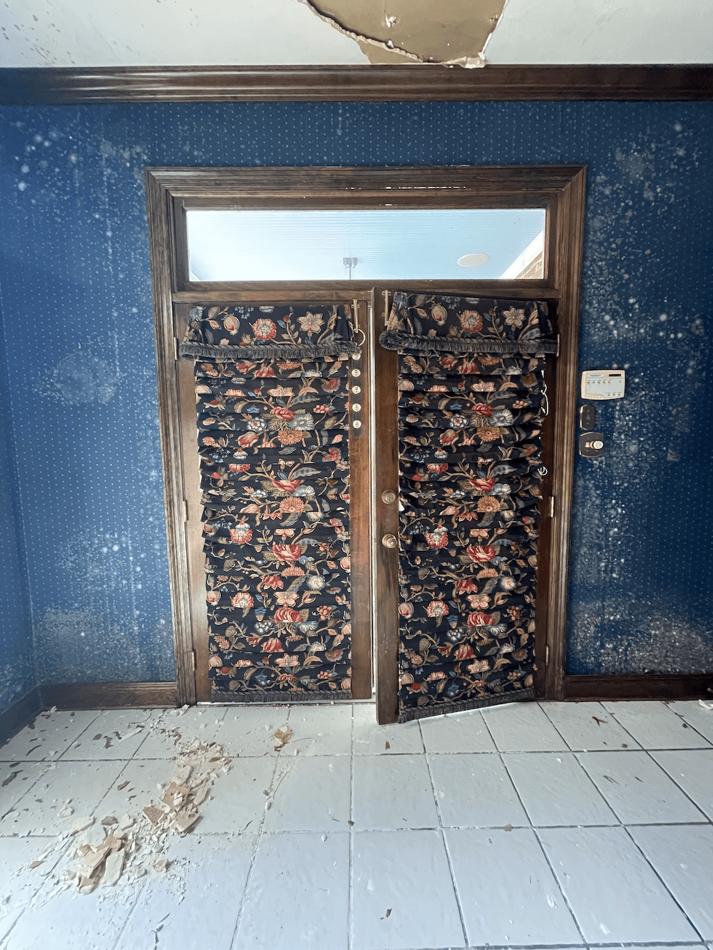 How to Remove Mold from Walls Mold Solutions