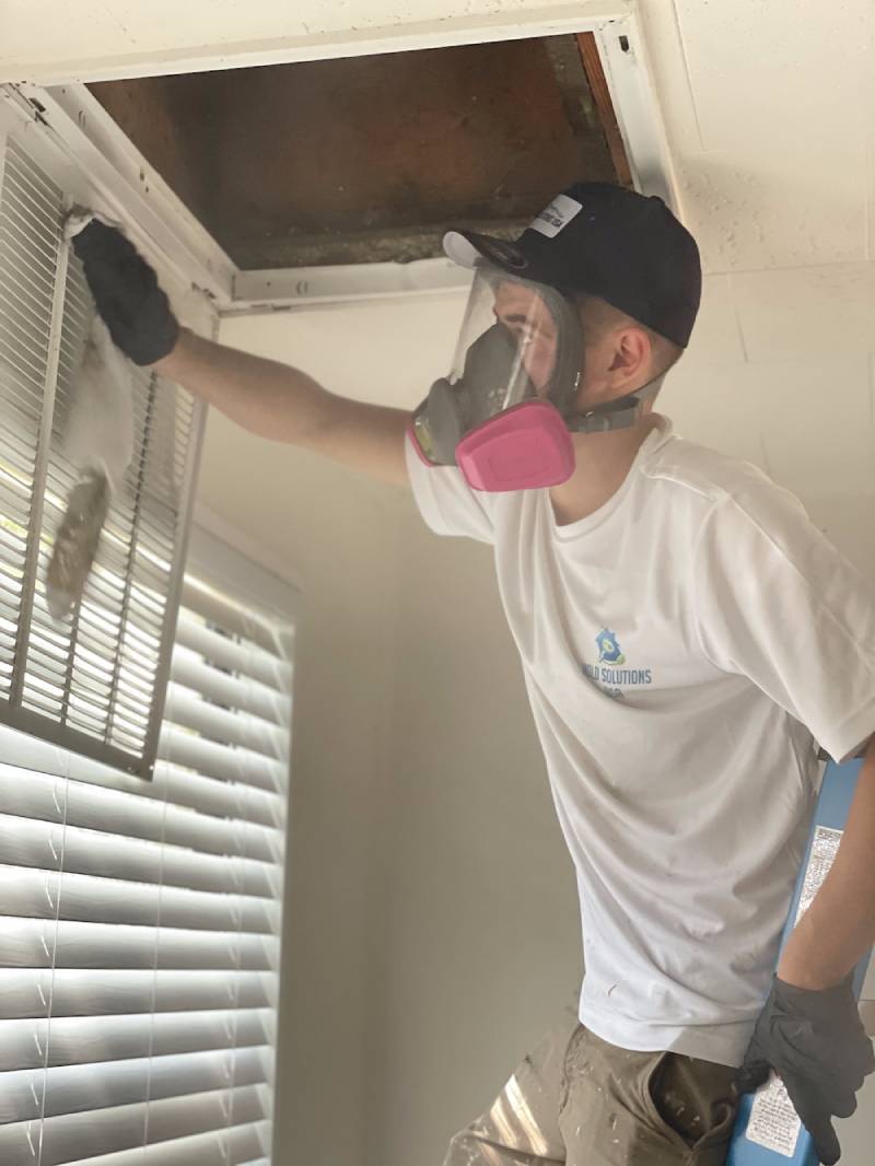 Mold Removal Company Mold Solutions