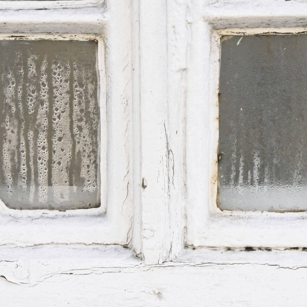 Wet Windows Condensation on Window Surfaces Mold Testing Services