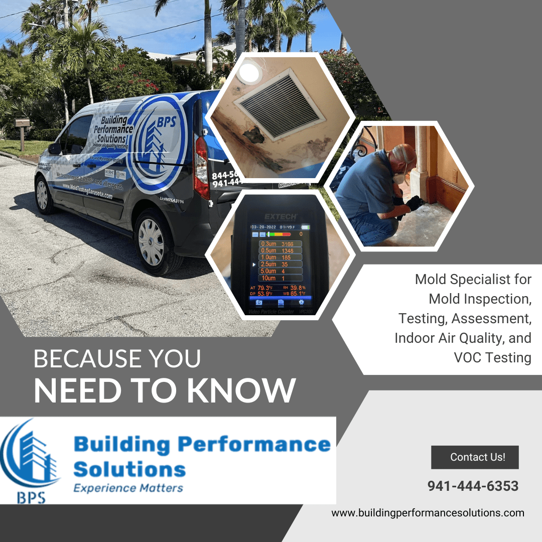 Is it Safe to Paint Over Mold? Here's What You Need to Know — Building