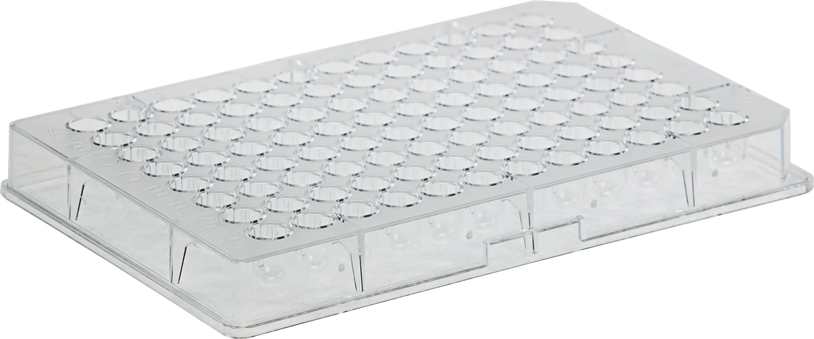 Elution Plate U‑bottom Molecular Biotecnologia