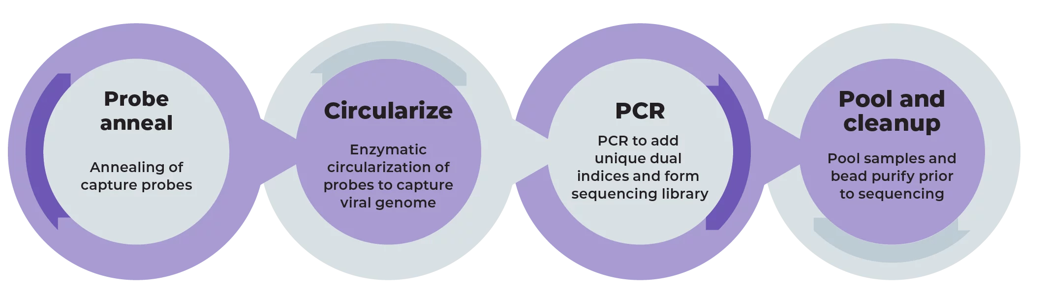 Expanded Carrier Screening molecular loop