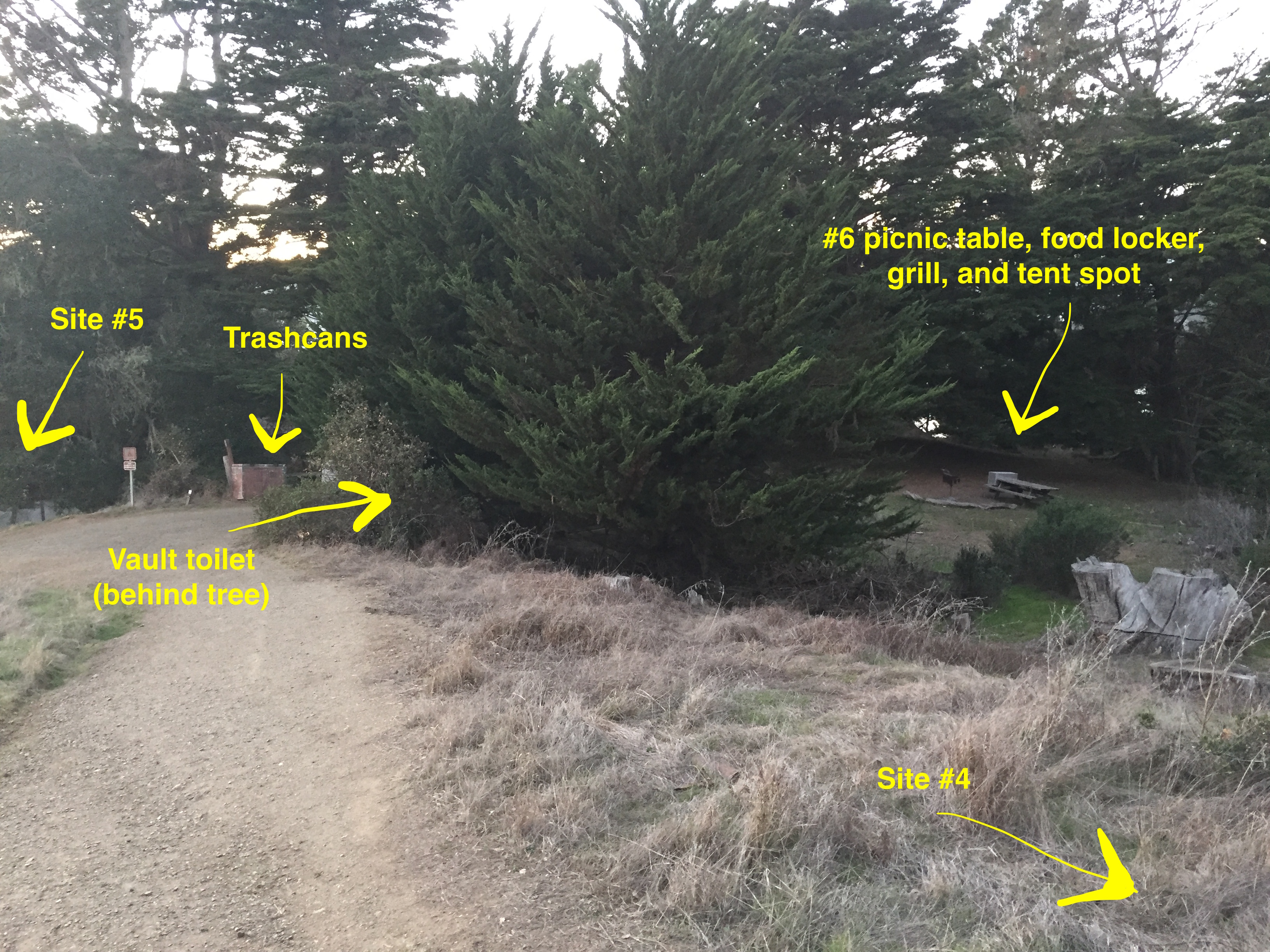 molly nicholas angel island state park camping