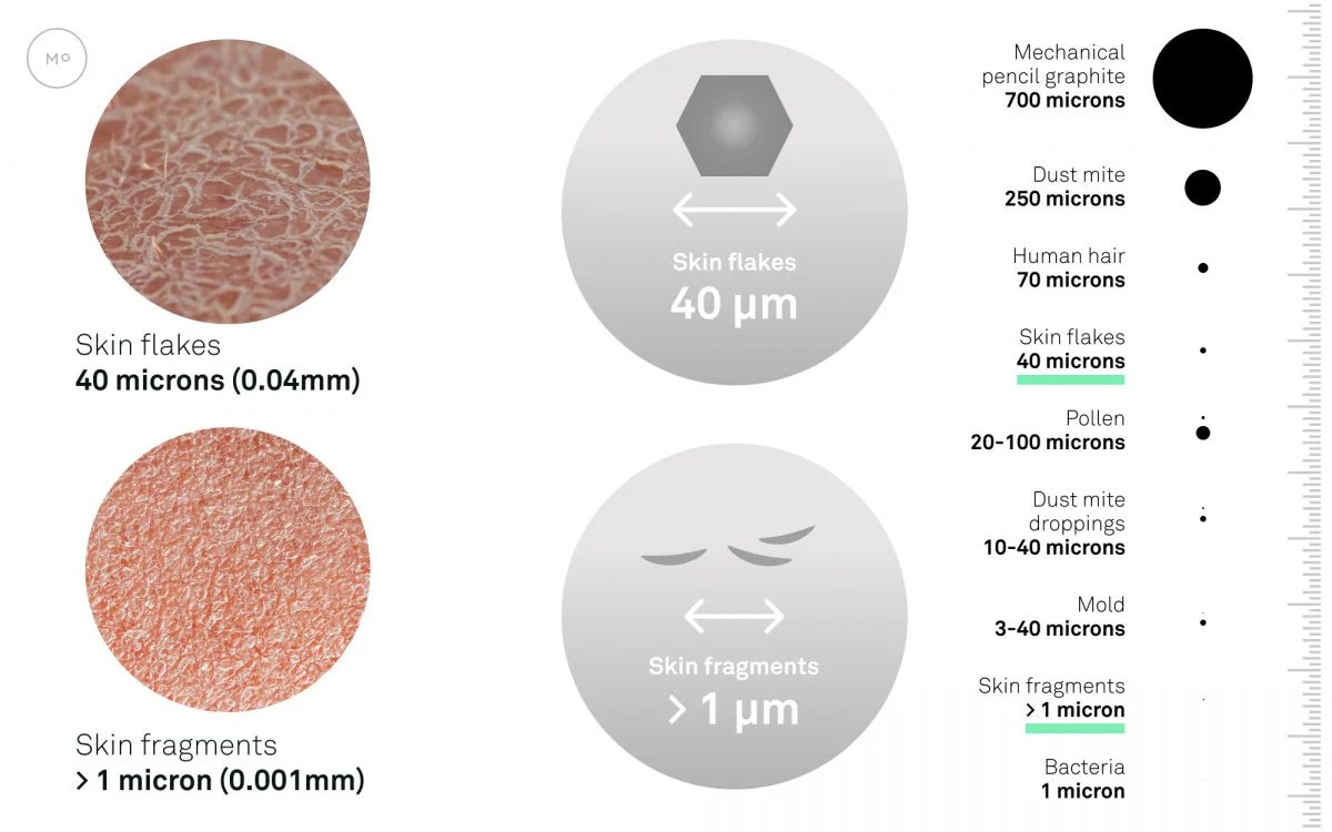 What is Dust Made of? Dust Particle Sizes & Composition Molekule Blog