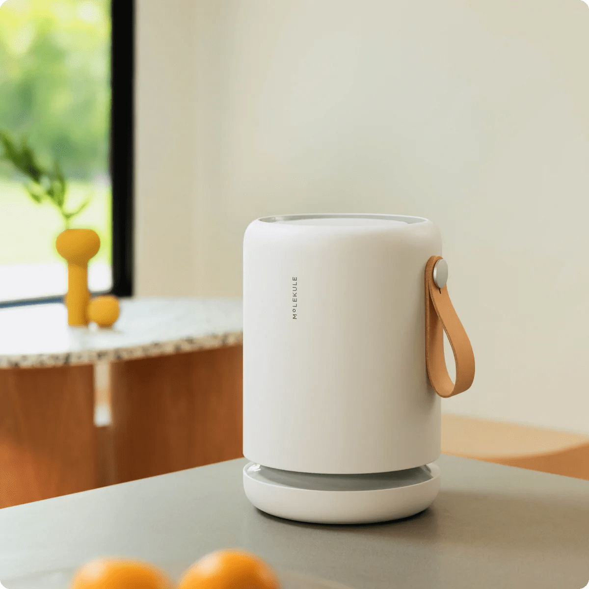 Molekule Refurbished Air Purifiers, LikeNew Molekule