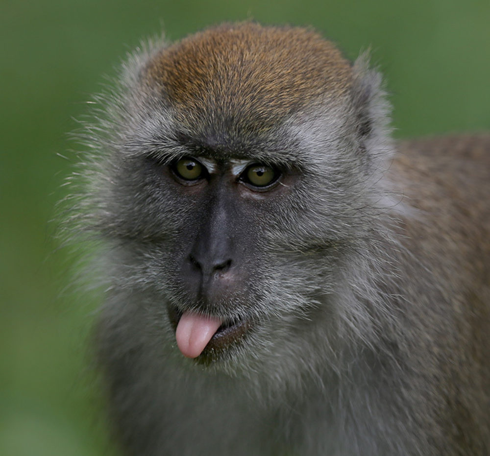 Latest promo codes MoleMap New Zealand MoleMap NZ Official Site