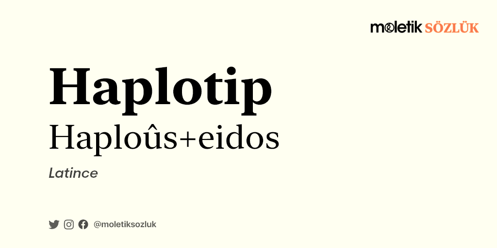 Haplotip nedir? Haplotip ne anlama geliyor? Kelimenin kökeni nedir