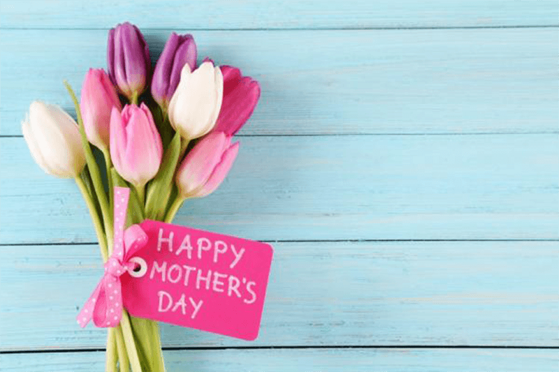 Five excellent ways to spend Mothers Day in Suffolk 2019 Mollett's Farm