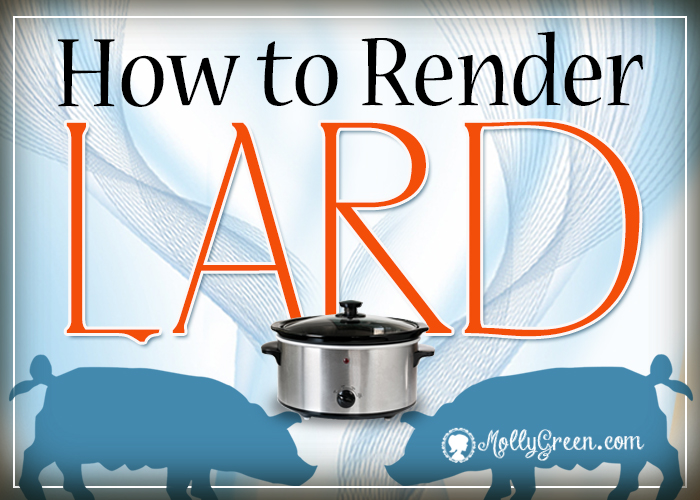How to Render Lard with a Slow Cooker Molly Green