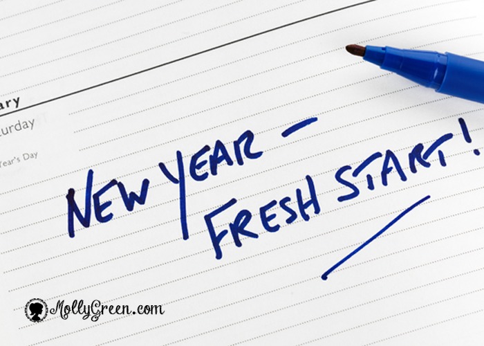 Things To Do In January Molly Green