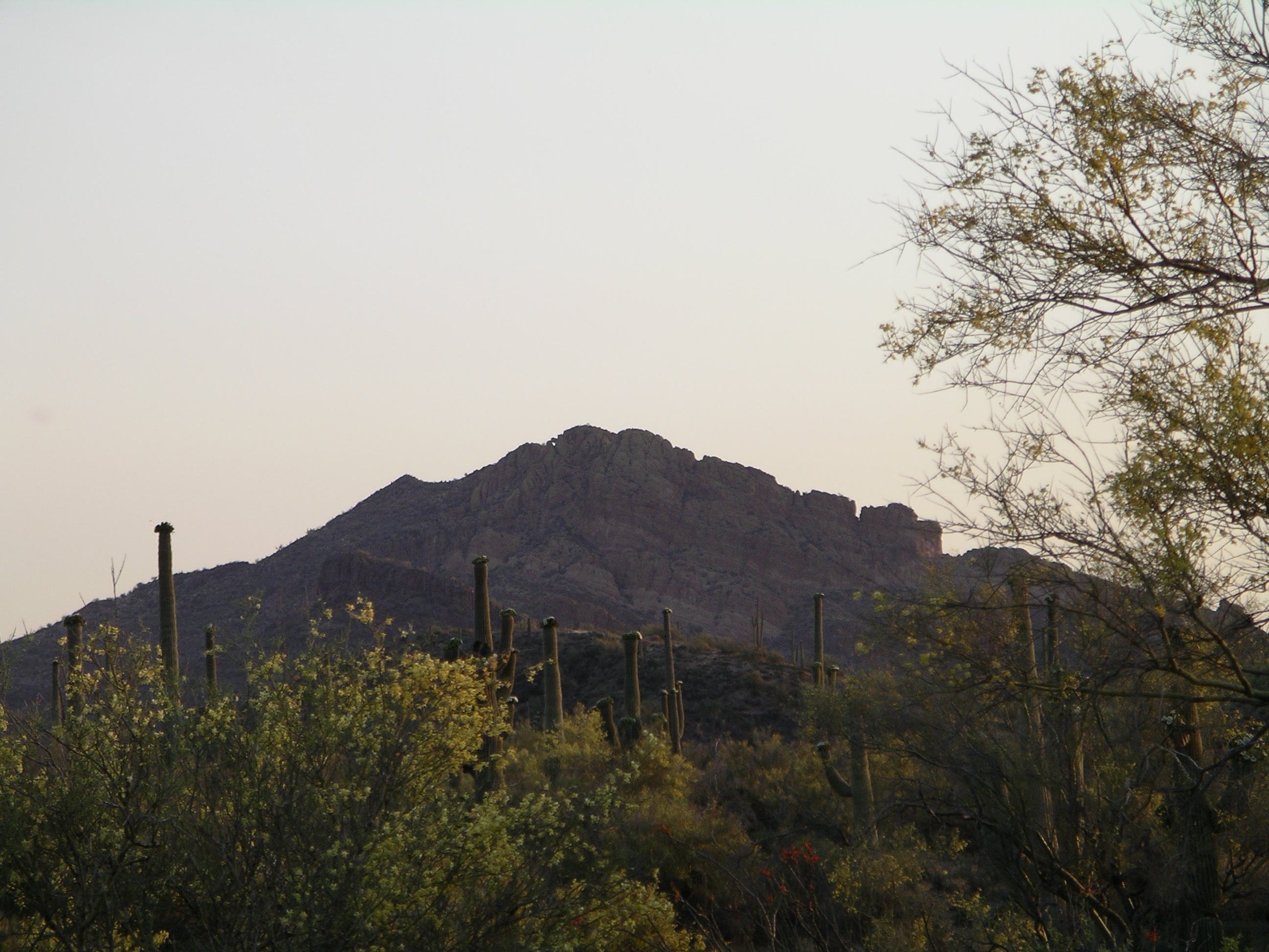 The Peralta Stone Maps The Molly Marie Prospect